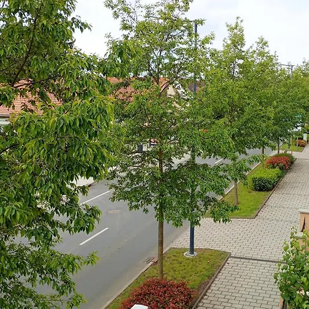 Anna Vendeghaz Appartement