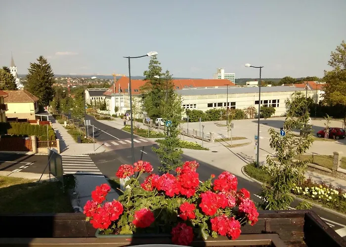 Anna Vendeghaz דירה *